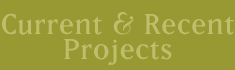 Current & Recent Projects